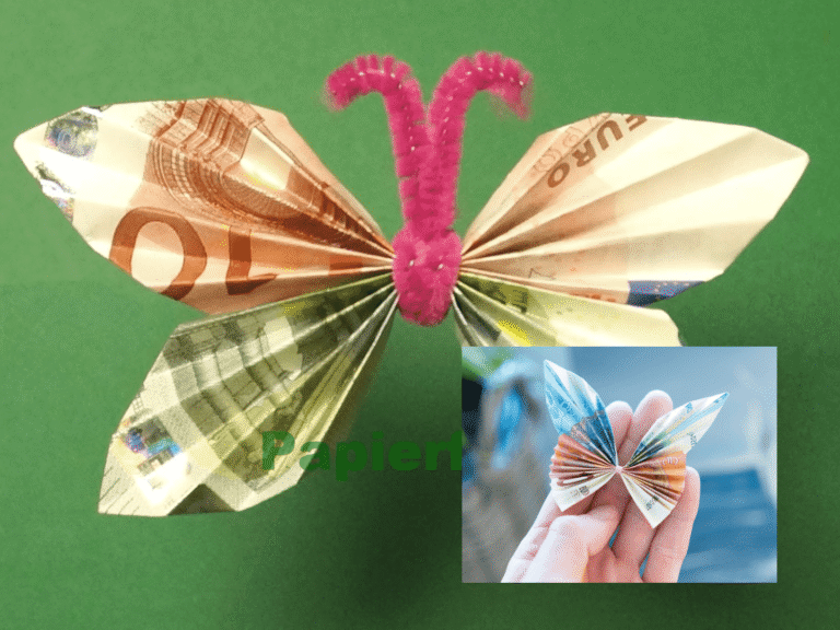 Geldschein falten Schmetterling
