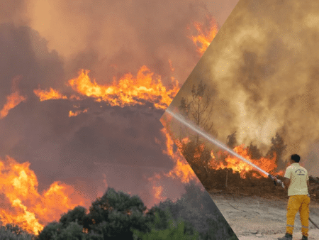 kreta waldbrand
